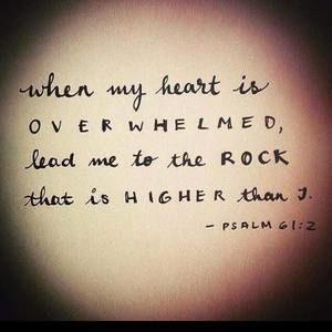 Meet your Posher, Polly